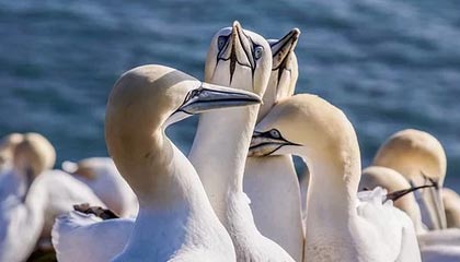 开云-川超成都队大名单以“00”后为主 最大37岁最小18岁｜阿刁喜欢看球